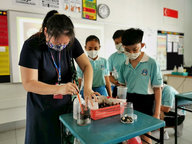 We Teach We Learn They Learn